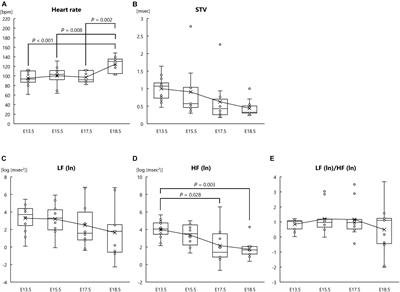 Assessments of Heart Rate and Sympathetic and Parasympathetic Nervous Activities of Normal Mouse Fetuses at Different Stages of Fetal Development Using Fetal Electrocardiography